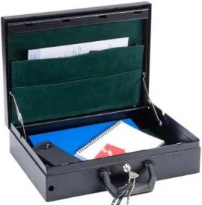 Multi-Compartment Briefcases