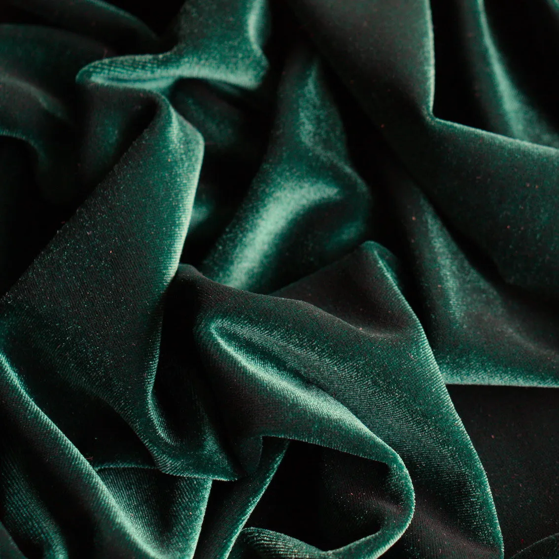 Stevie Velvet Ivy - Stretch Velour