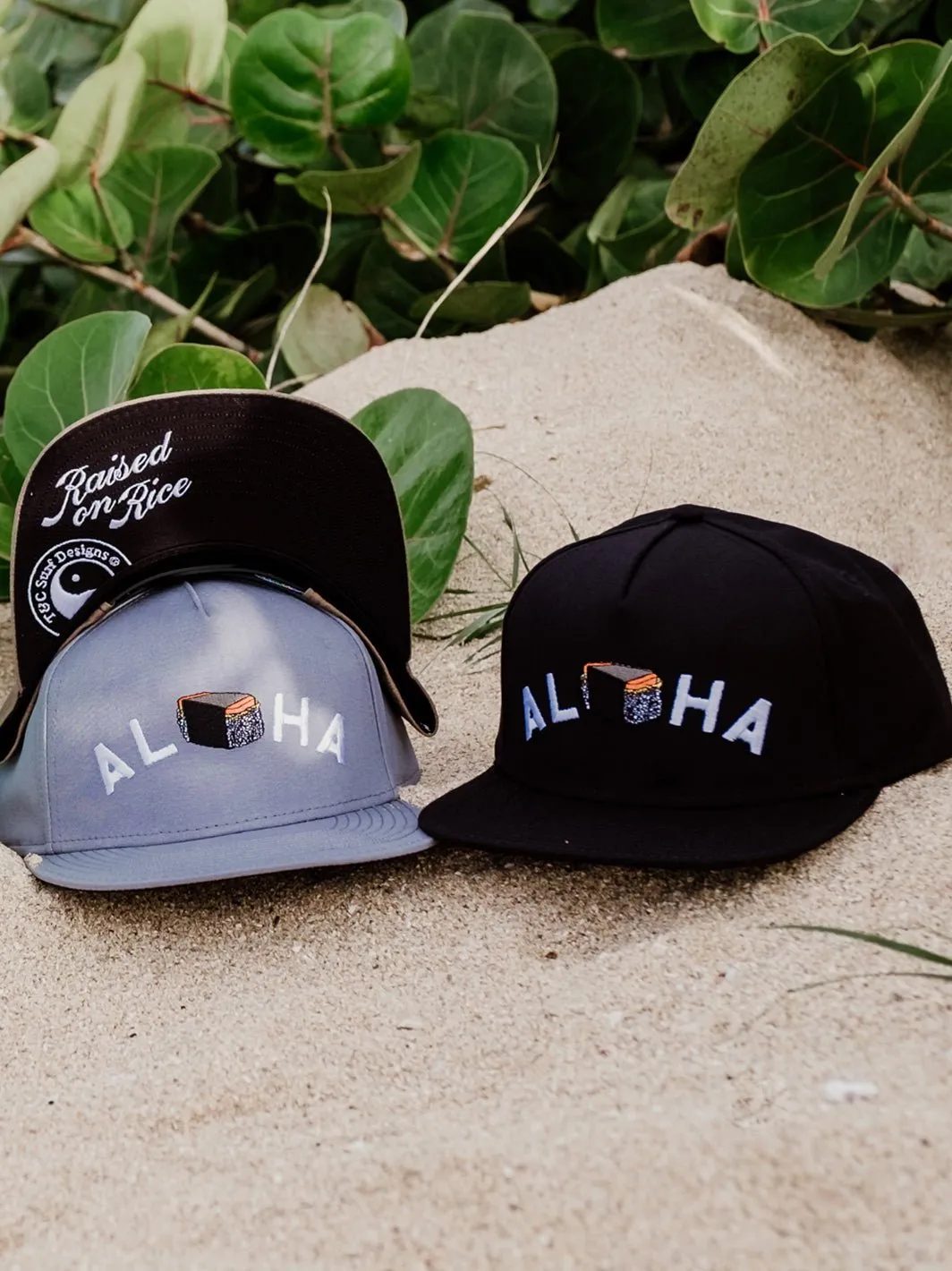T&C Surf Aloha Grind Cap