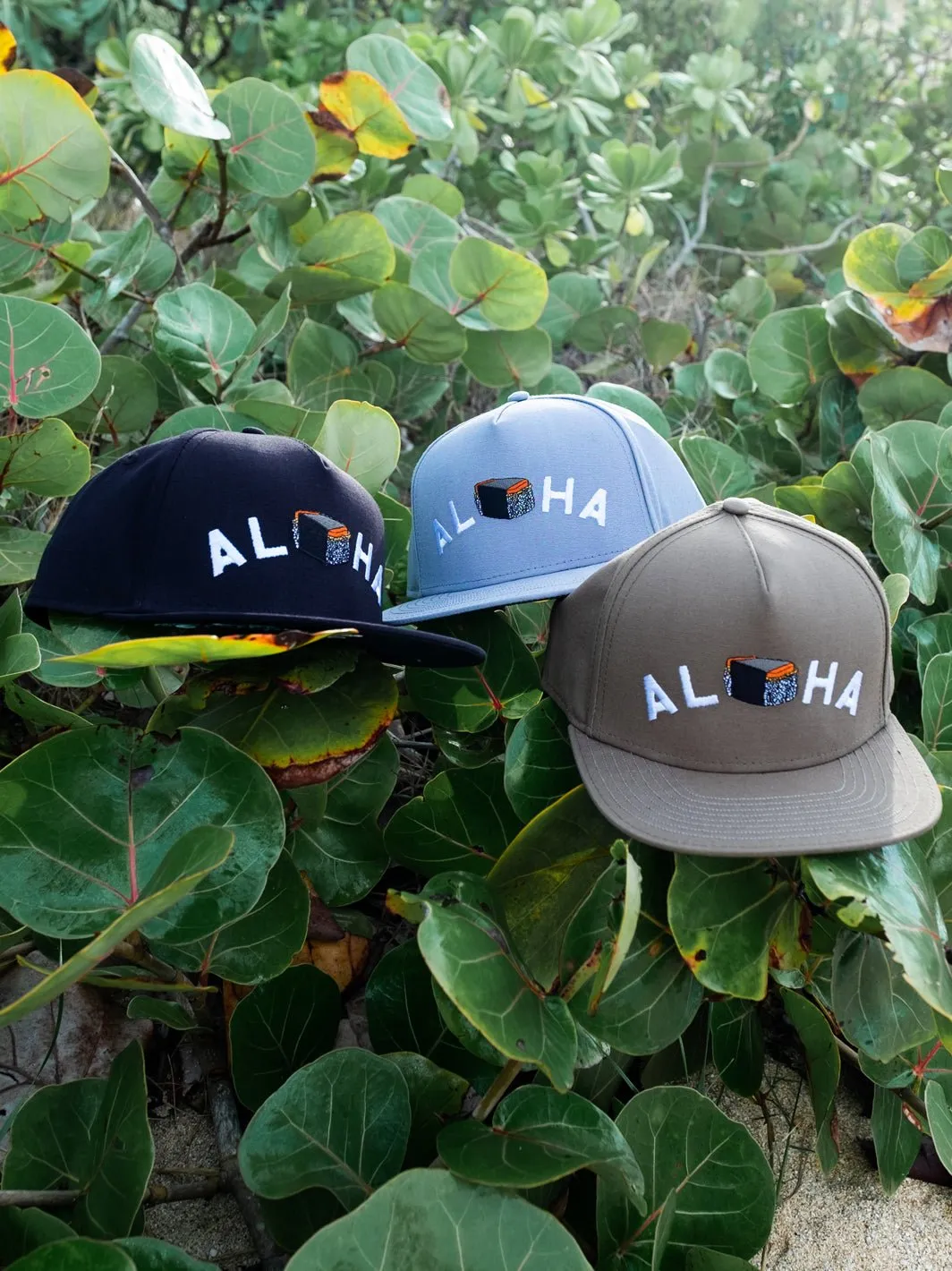 T&C Surf Aloha Grind Cap