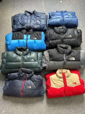 The North Face Puffer jackets-16 pieces (600,700,900)