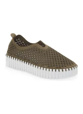 Tulip Deep Olive Platform 3373