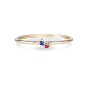 Twin Birthstone ring II