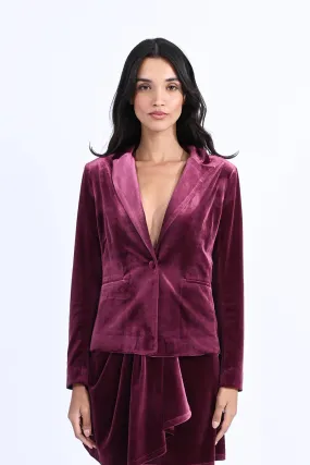 Velvet Blazer