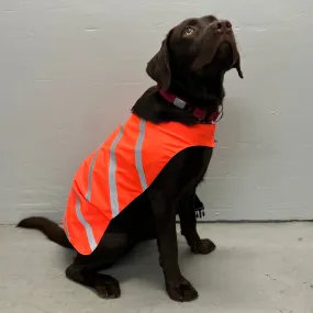 Water Resistant Outerwear, Orange (SOW0082:83)