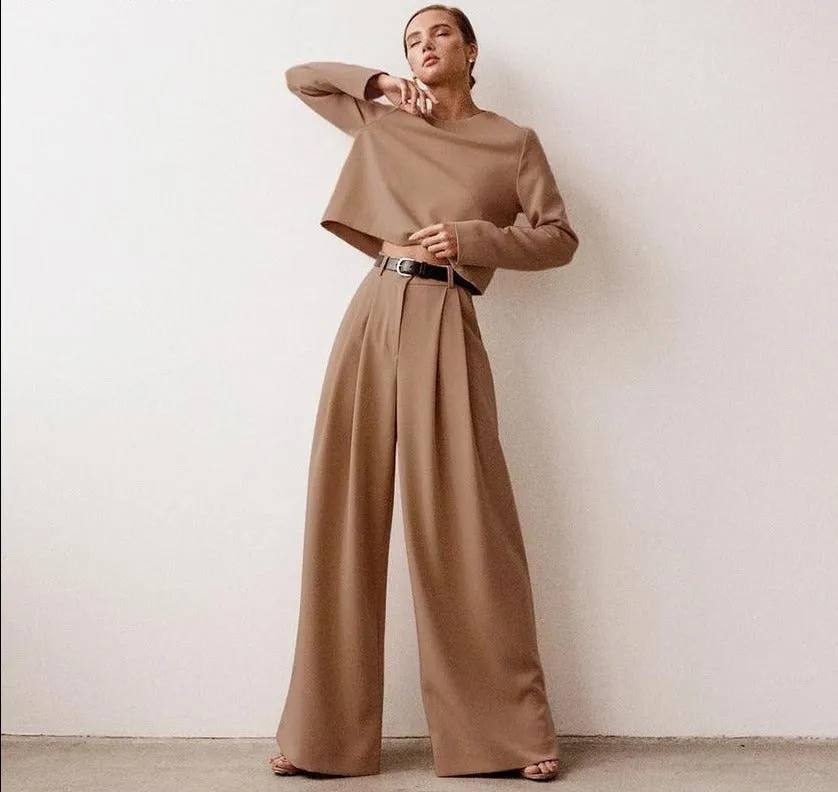 Wide leg Pleated Loose Trousers and Top set