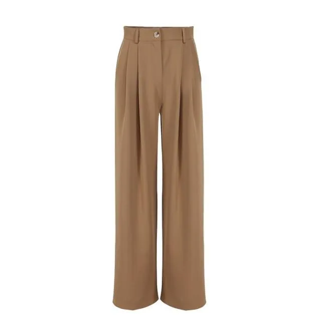 Wide leg Pleated Loose Trousers and Top set