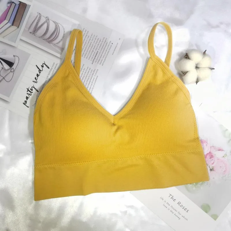 Women Sexy Crop Tops