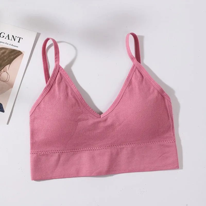 Women Sexy Crop Tops