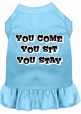 You Come, You Sit, You Stay Screen Print Dress Baby Blue Xxxl (20)