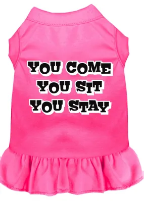 You Come, You Sit, You Stay Screen Print Dress Bright Pink Med (12)