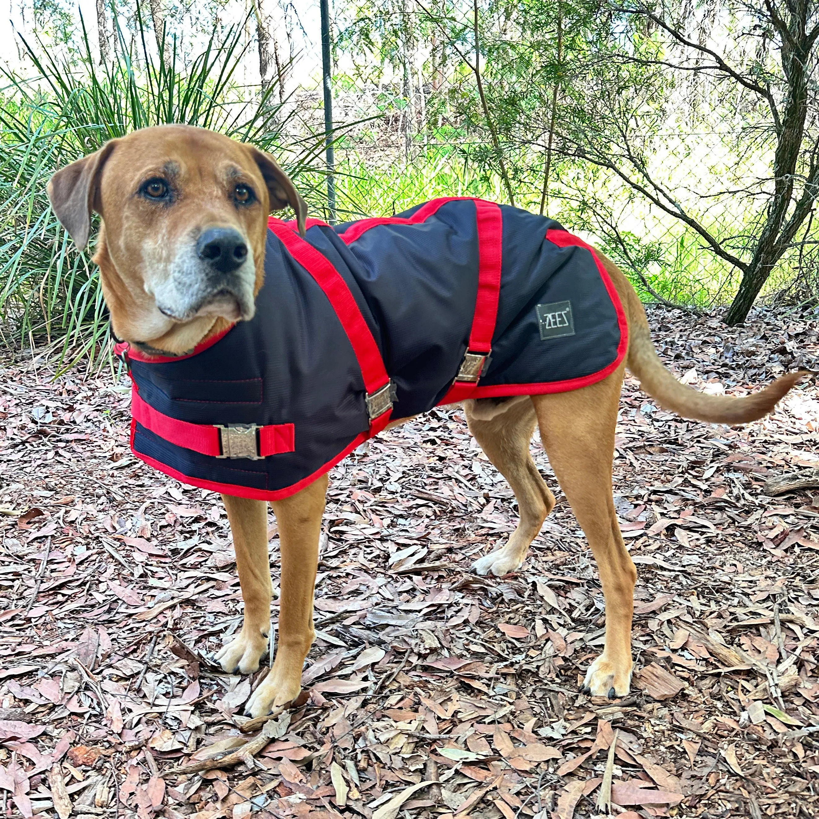 ZeeZ Supreme Dog Coat - Navy Stone/Red