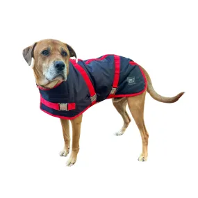 ZeeZ Supreme Dog Coat - Navy Stone/Red